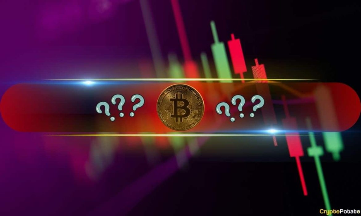 This Week’s Biggest Losers Revealed as Bitcoin Slides to $106K: This Week's Biggest Losers Revealed as Bitcoin Slides to $106K: Weekend Watch