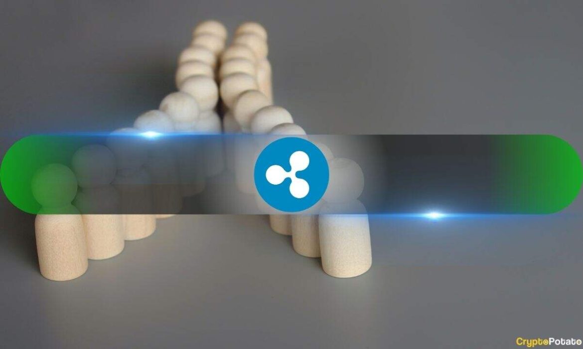 XRP's Biggest Warning Sign Is Still Flashing Despite Easing Whale Activity