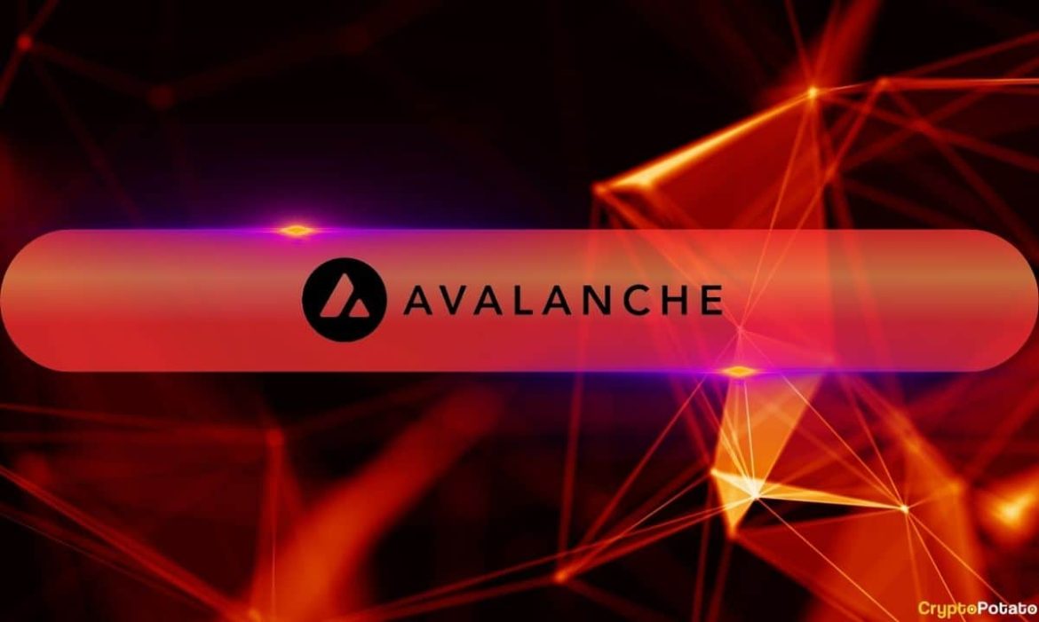 AVAX Is Up 7% While the Market Sleeps