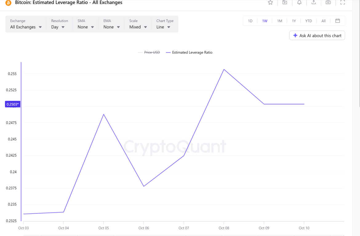 Bitcoin Estimated Leverage Ratio