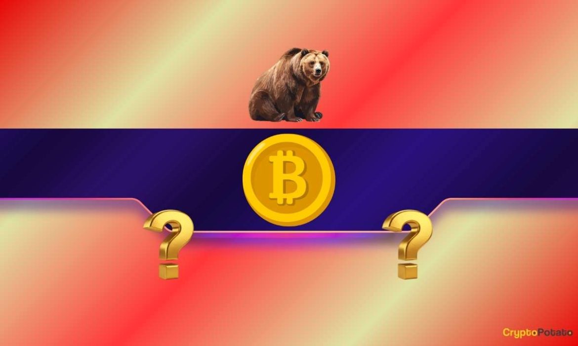 Why Did Bitcoin's Price Slump by $2K in 20 Minutes?